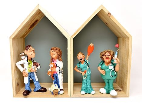 veterinarian-3102456__340